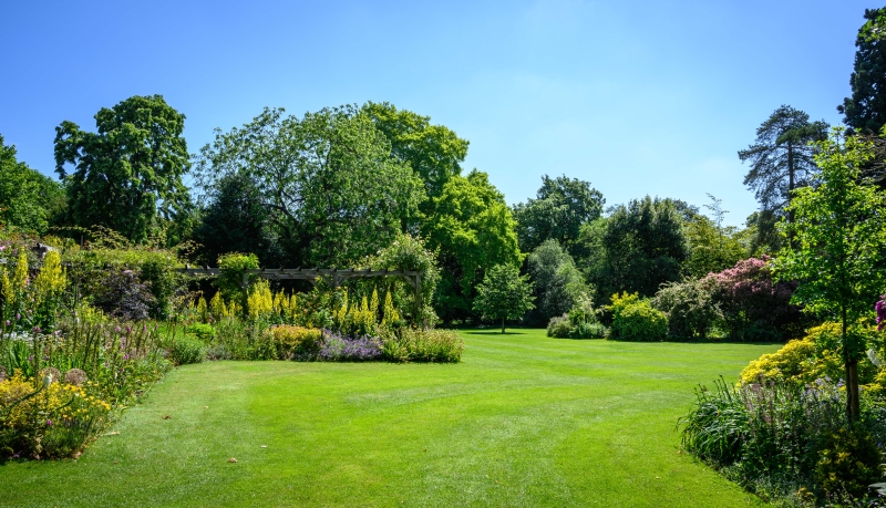 King's College Fellows' Garden and Provost's Garden